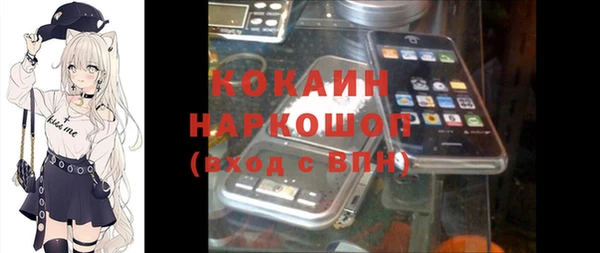 стаф Абаза