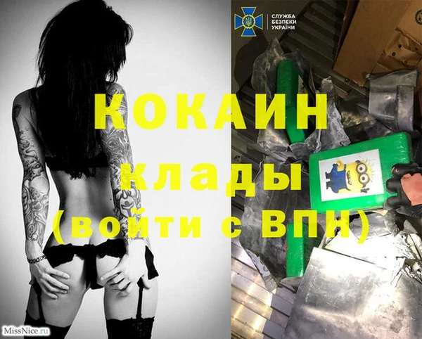 стаф Абаза