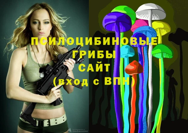 стаф Абаза