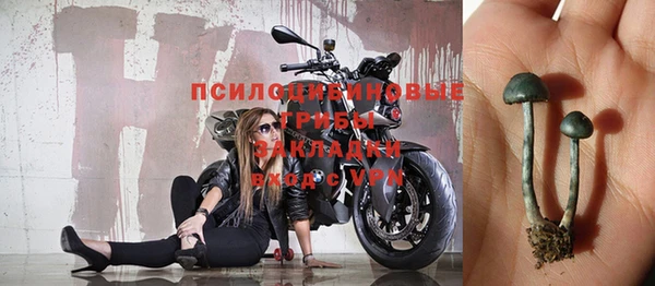 стаф Абаза