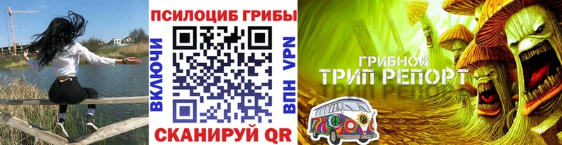 Галлюциногенные грибы мицелий Энгельс