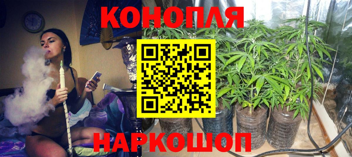 Бошки марихуана тримм  Бошки марихуана семена  Вход с VPN  Марихуана AK-47  Энгельс  Марихуана SATIVA & INDICA 